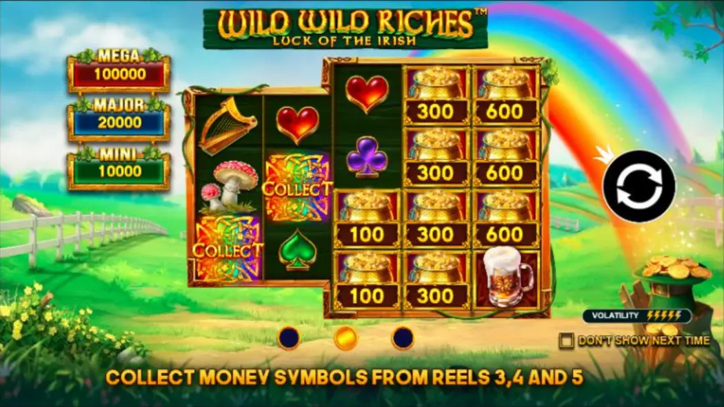 Wild Wild Riches Mechanics